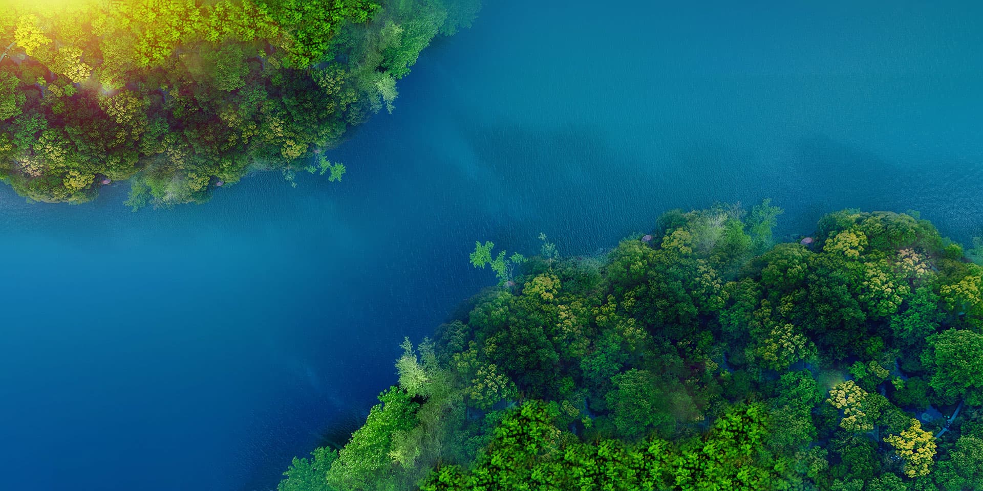 2121�Ƿ���(�й���)�����ٷ���վ