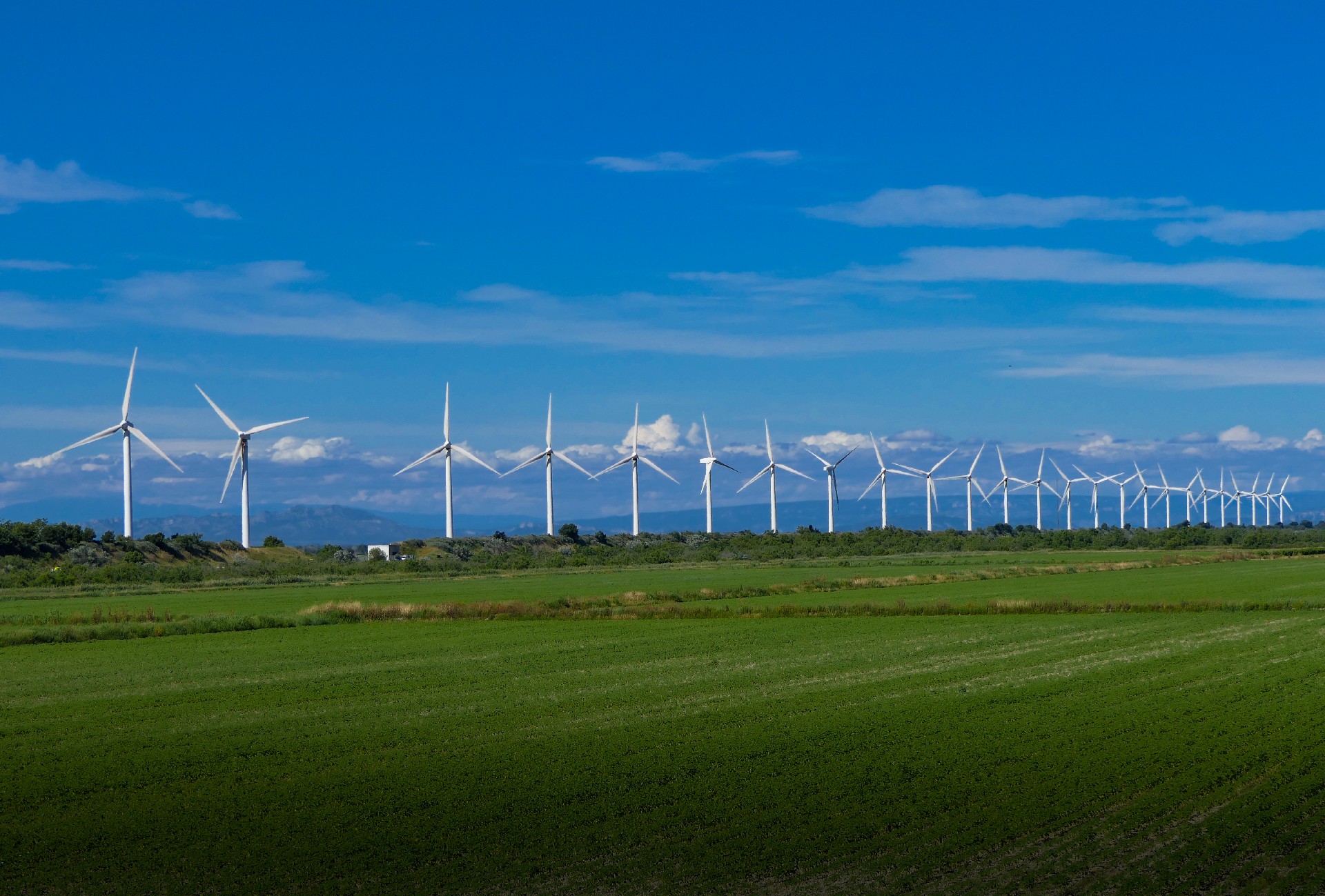 2121�Ƿ���(�й���)�����ٷ���վ